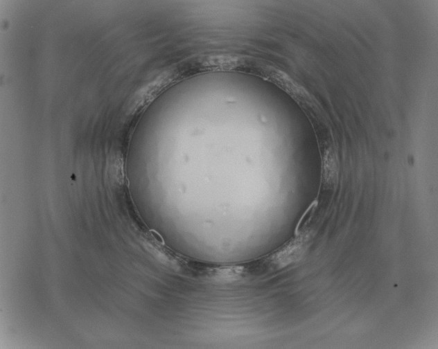 X0000071830474200607211806