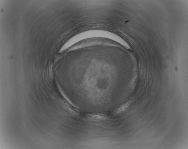 X0000071830475200607211806