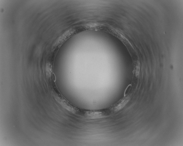 X0000071830476200607211806