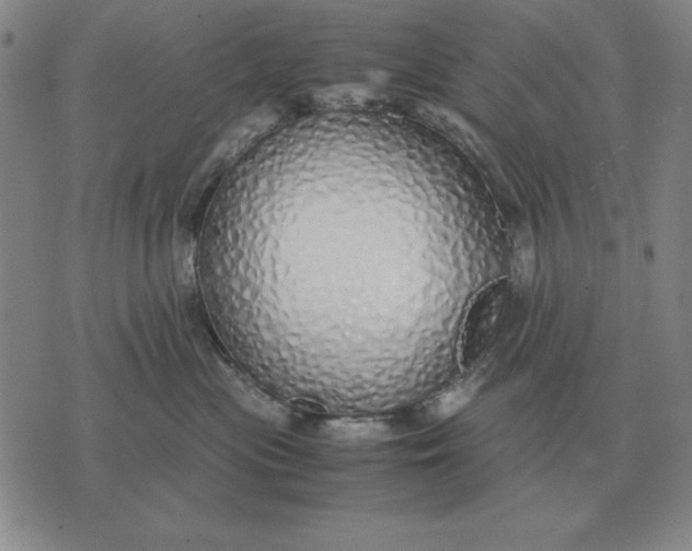 X0000071830477200607211806