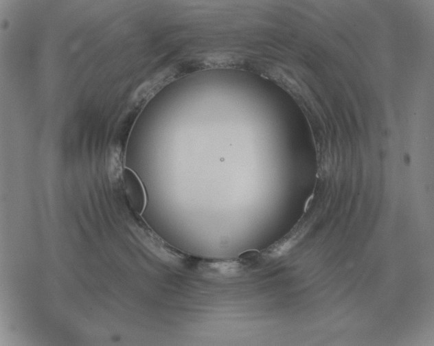 X0000071830478200607211806