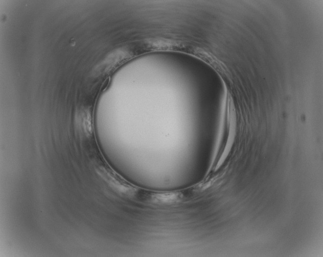 X0000071830479200607211806