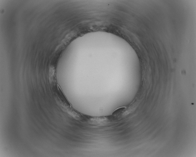 X0000071830480200607211806