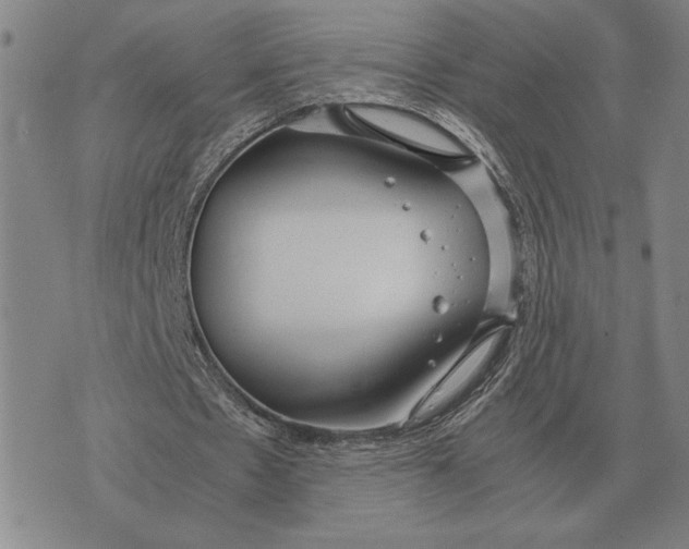 X0000071830481200607211805