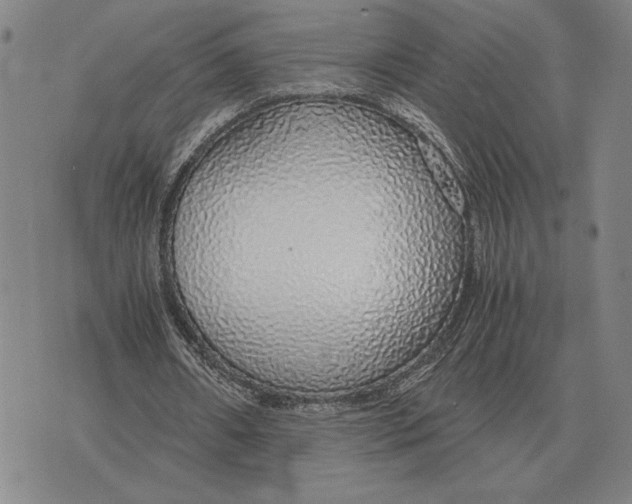 X0000071830482200607211805