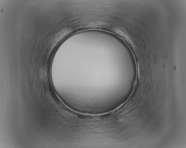 X0000071830483200607211805