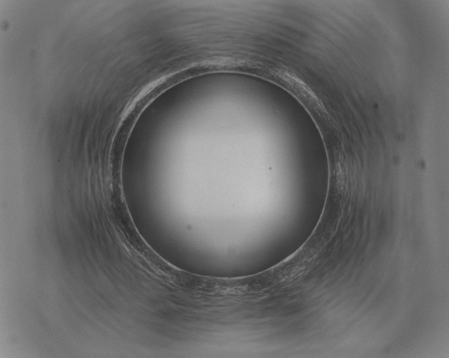 X0000071830484200607211805