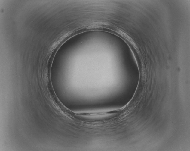 X0000071830485200607211805