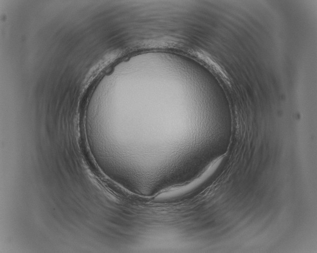 X0000071830486200607211805