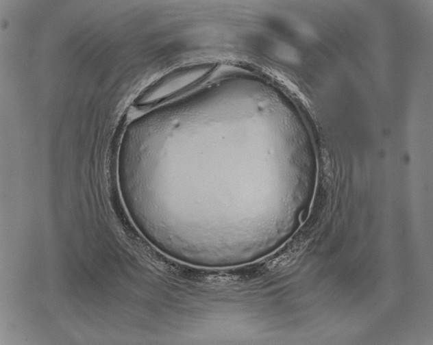 X0000071830487200607211805