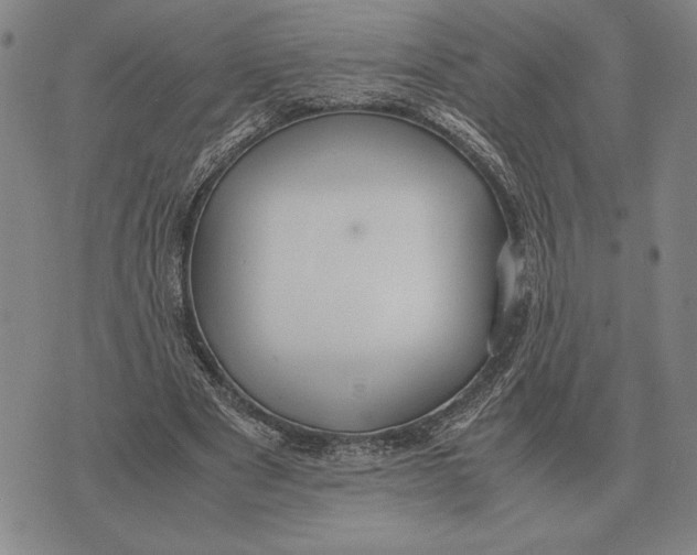 X0000071830489200607211805