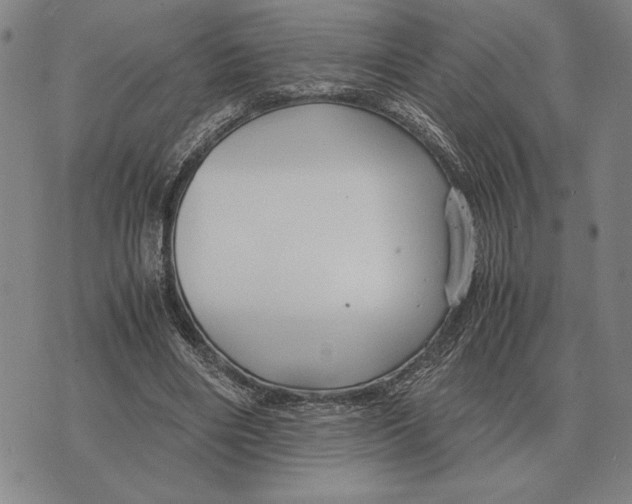 X0000071830490200607211805