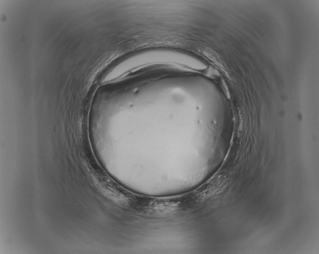 X0000071830491200607211805