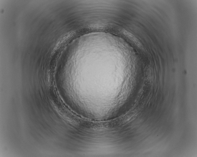 X0000071830494200607211805