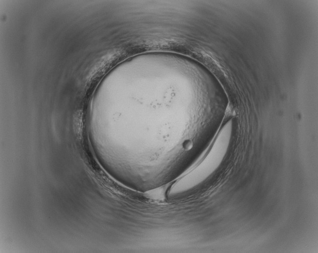 X0000071830495200607211805