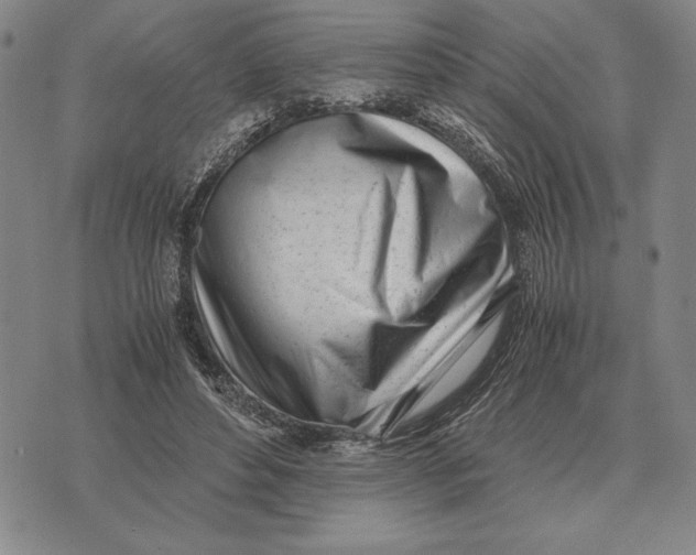 X0000071830496200607211805