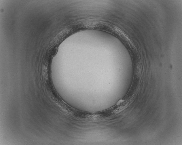 X0000071830497200607211805