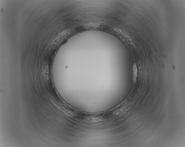 X0000071830498200607211805