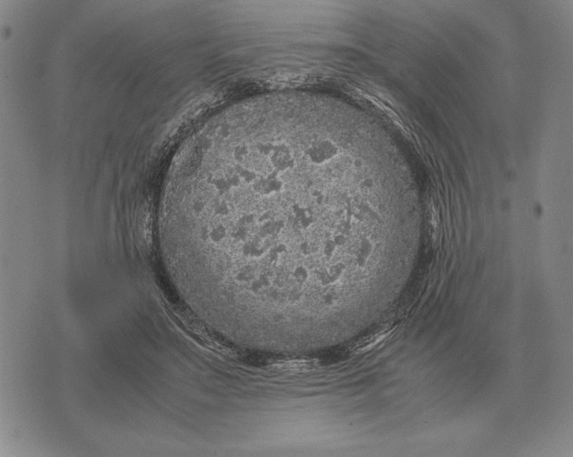 X0000071830499200607211805