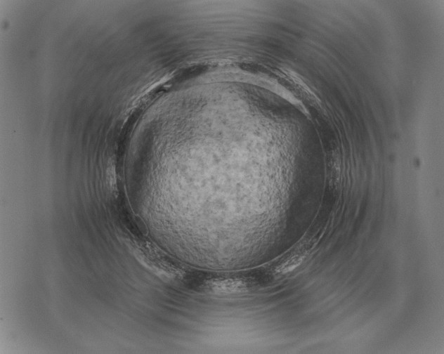 X0000071830500200607211805