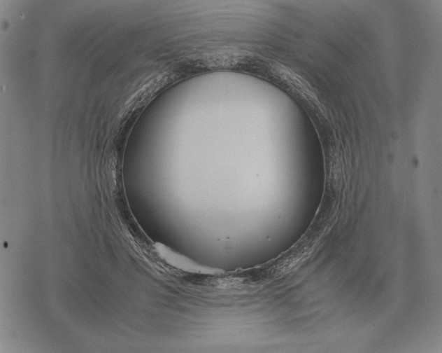 X0000071830501200607211805