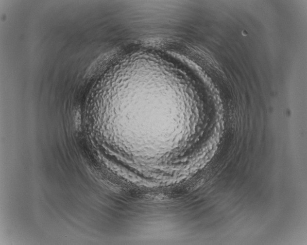 X0000071830502200607211805