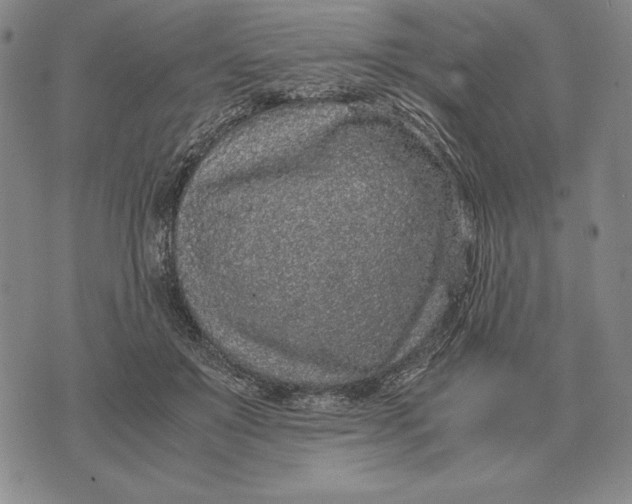 X0000071830503200607211805