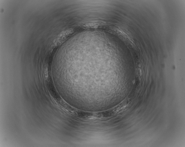 X0000071830504200607211805