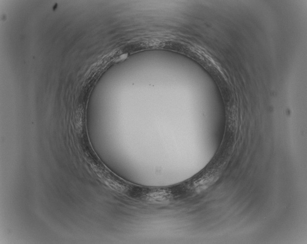 X0000071830505200607211805