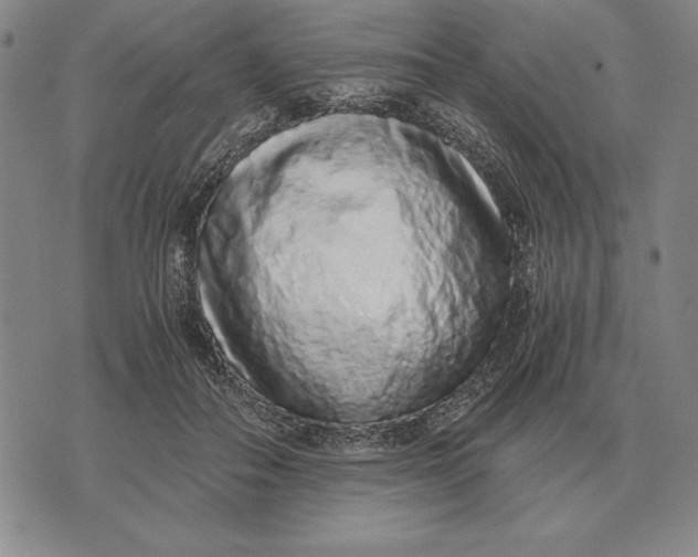 X0000071830506200607211805