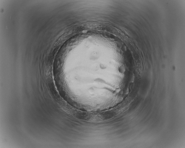 X0000071830507200607211805