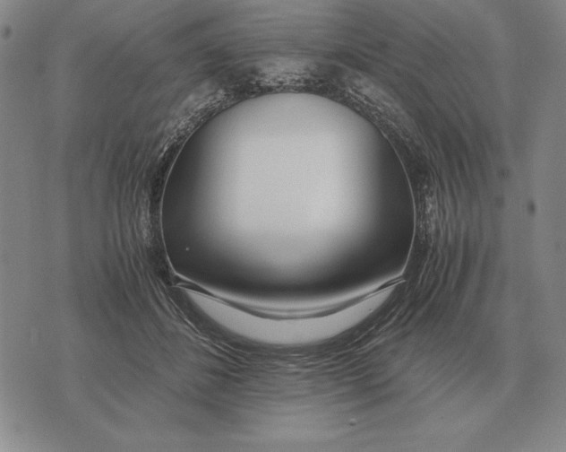 X0000071830508200607211805