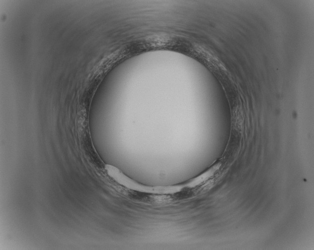 X0000071830509200607211805