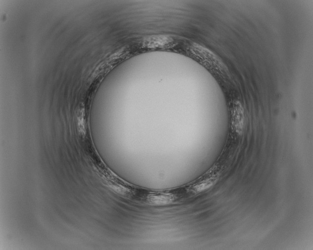 X0000071830510200607211805