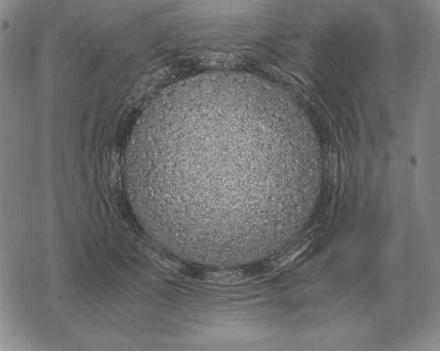 X0000071830511200607211805