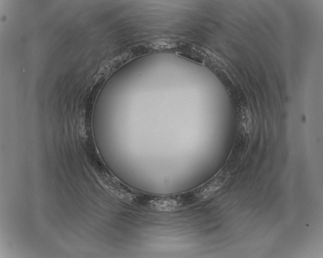 X0000071830512200607211805