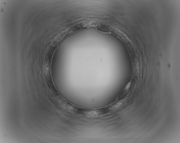 X0000071830513200607211805