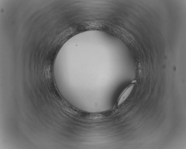 X0000071830514200607211805