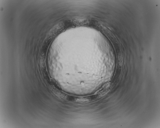 X0000071830515200607211805