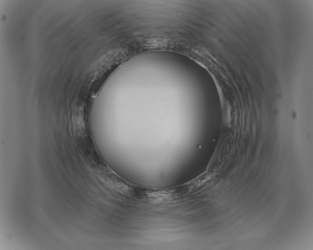 X0000071830516200607211805