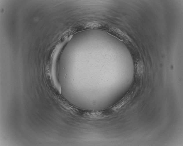 X0000071830517200607211805