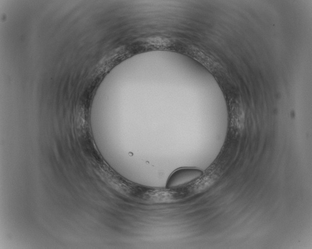 X0000071830518200607211805