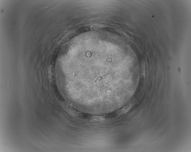 X0000071830519200607211805