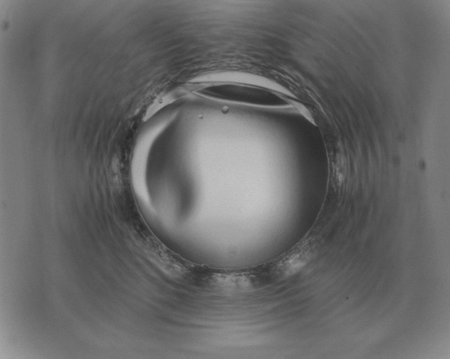 X0000071830520200607211805