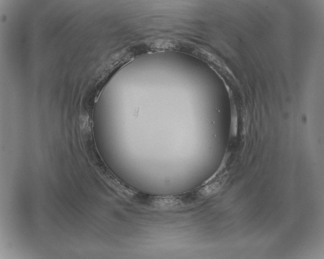 X0000071830521200607211805