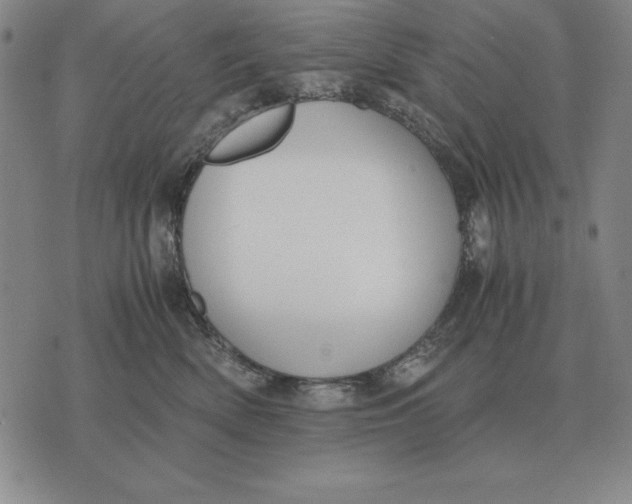 X0000071830522200607211805