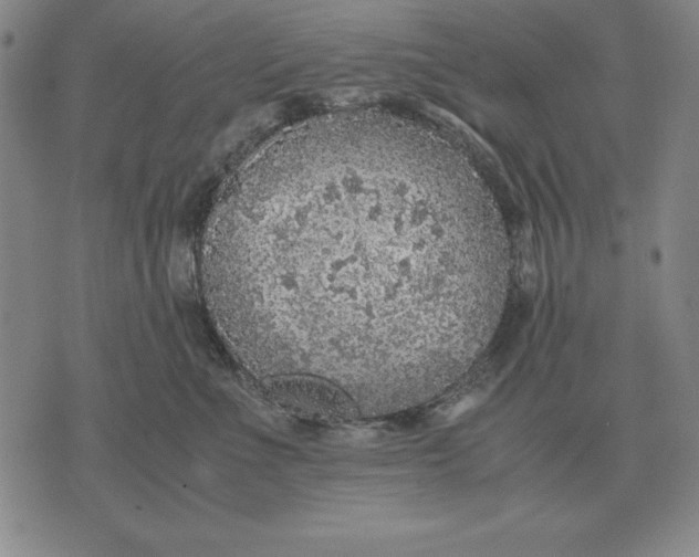 X0000071830523200607211805