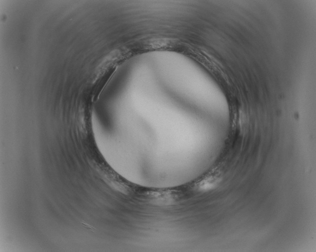 X0000071830524200607211805