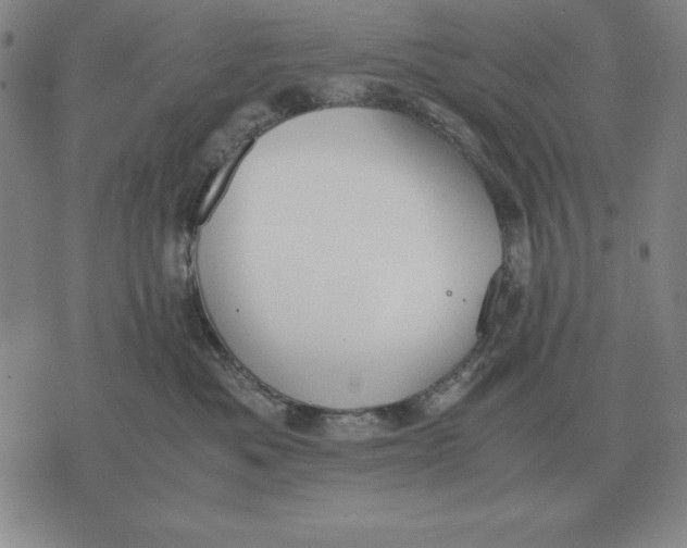 X0000071830525200607211805