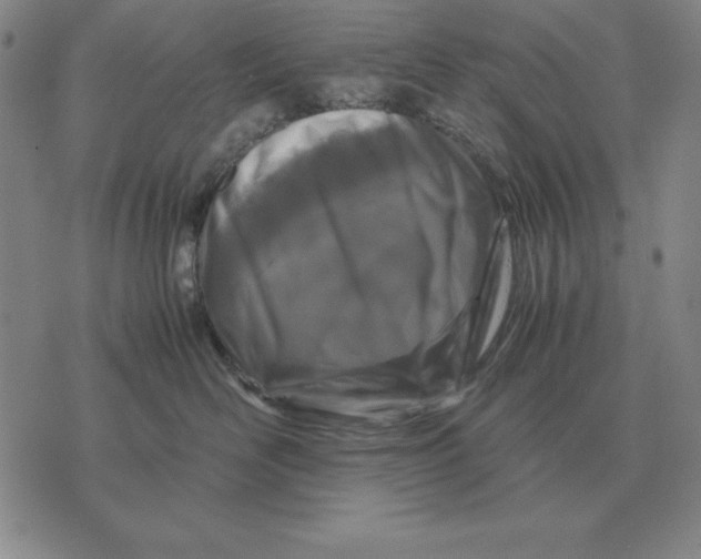 X0000071830526200607211805